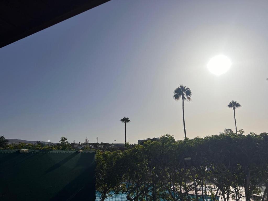 Sunrise Las Palomas - 2