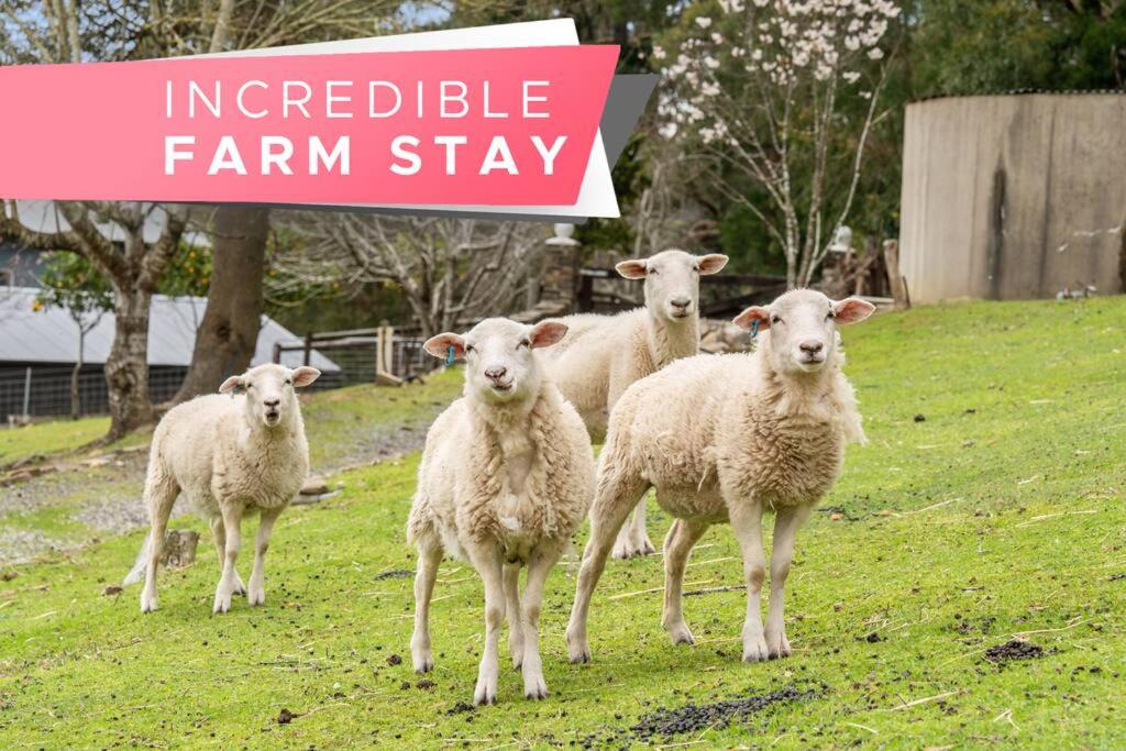 Carawatha on The Range - Unique Farm Stay, Basket Range