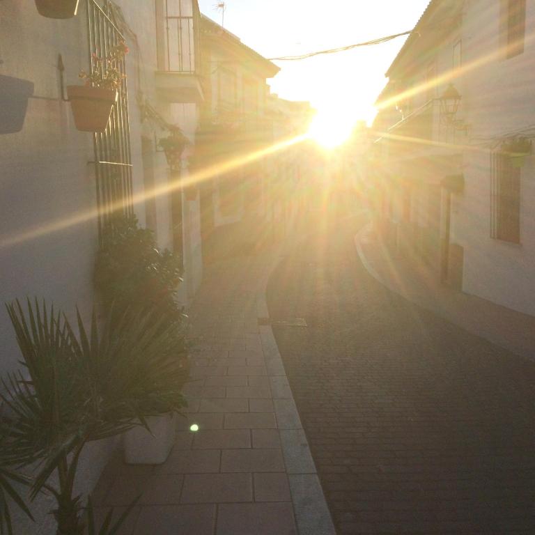 Estepona 1 - 5