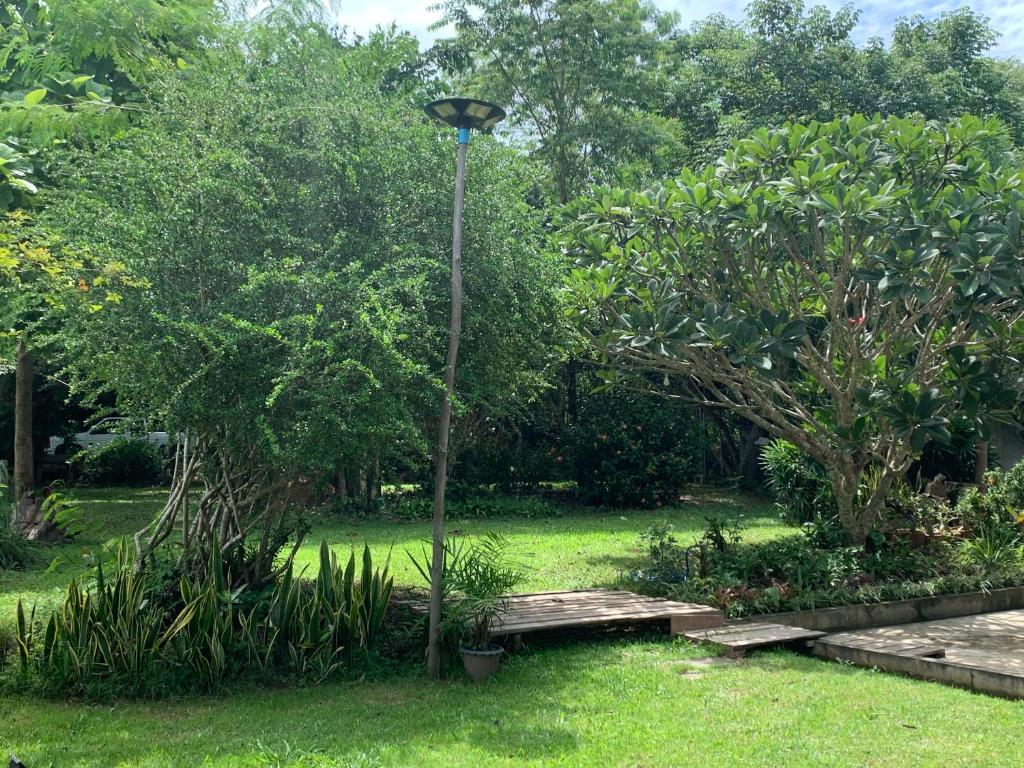 Surrounding environment