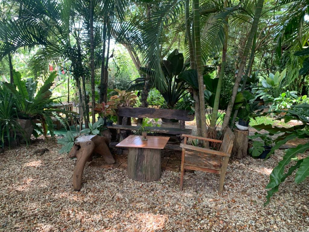 Surrounding environment