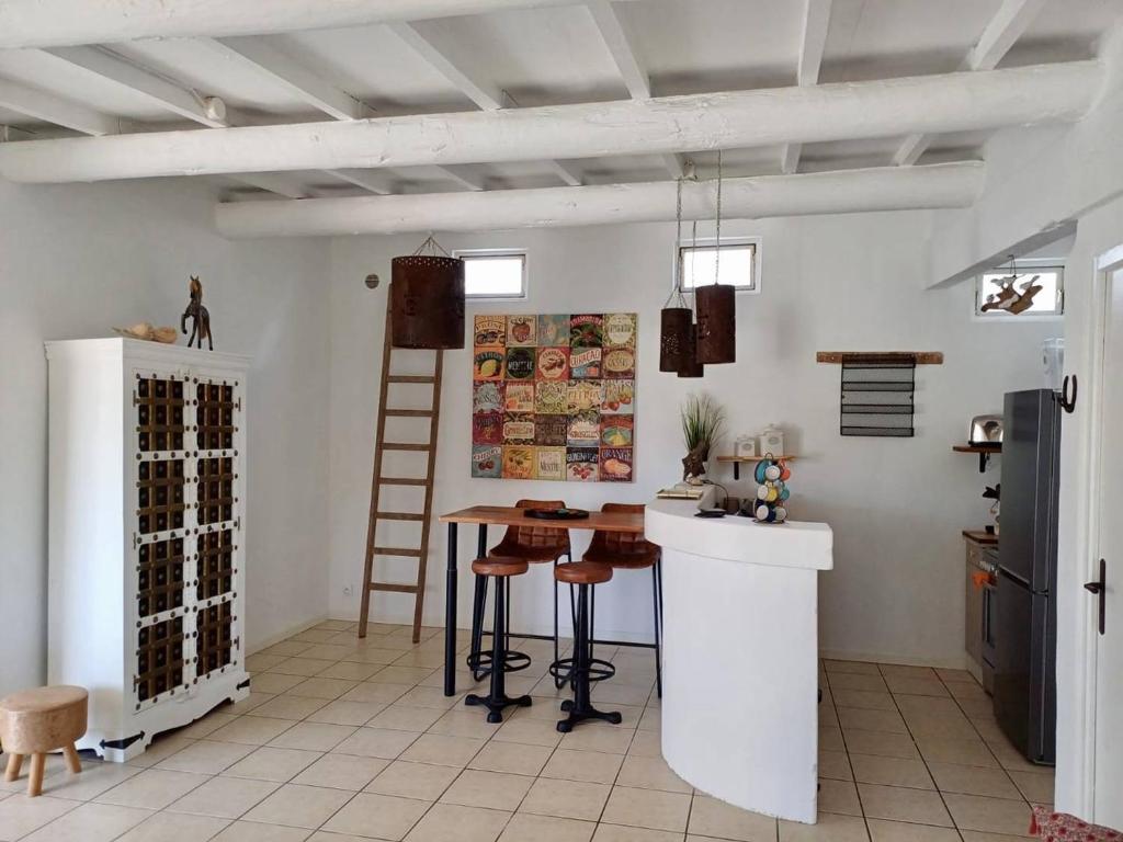Superbe mazet en Camargue, jardin, parking, terrasses, climatisation, internet - 4