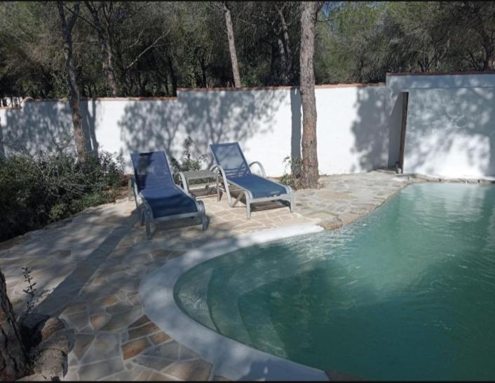 Casa Palmito - 1