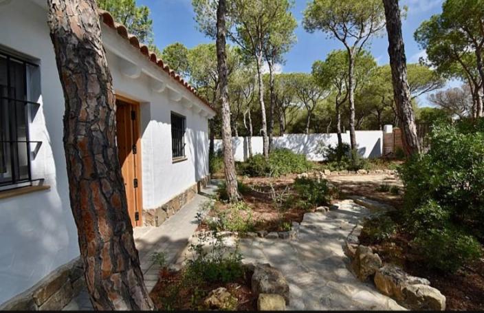 Casa Palmito - 3