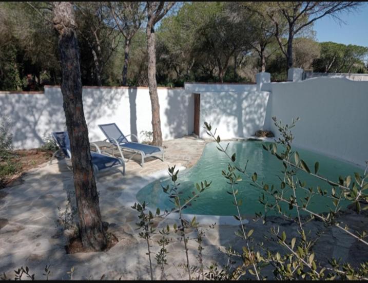 Casa Palmito - 2