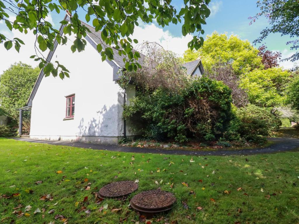 Clematis - Lodge 16, Wadebridge