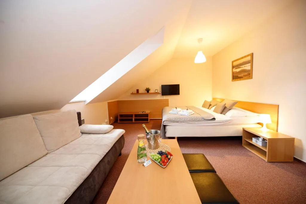 Hotel Modrásek，位于卡什佩尔斯凯霍里的酒店