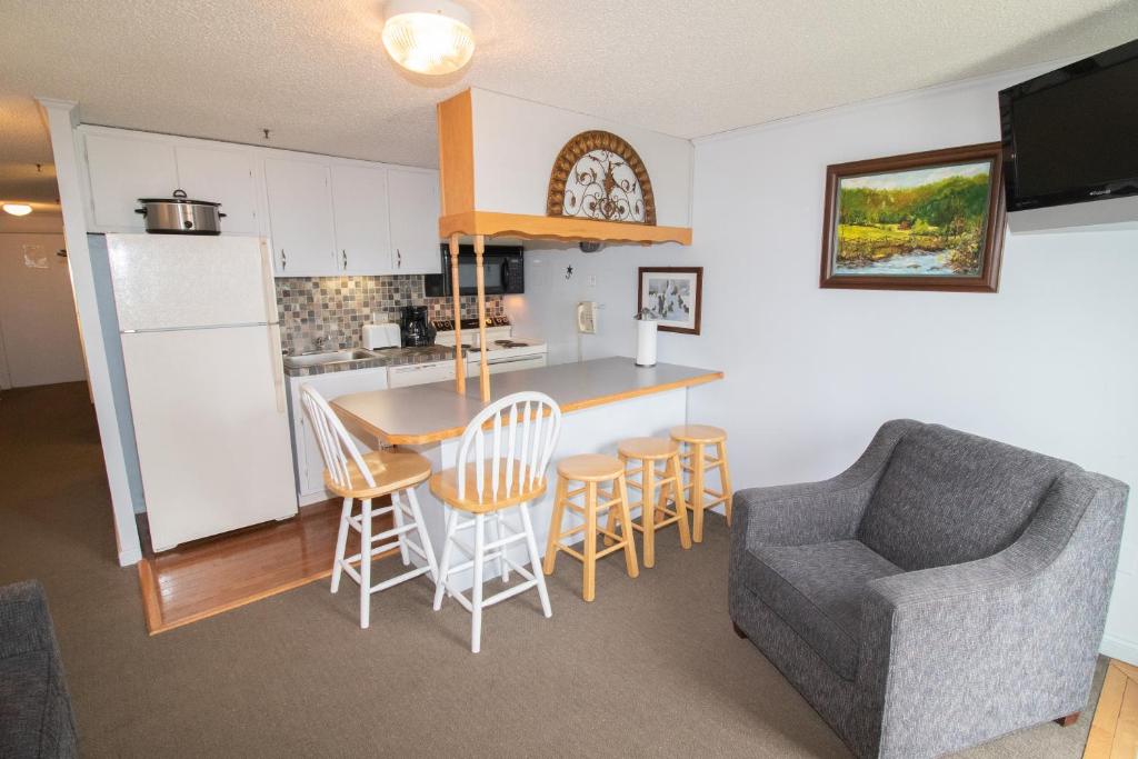 ML320 Light And Bright EZ Access To Village And Slopes WiFi, Snowshoe