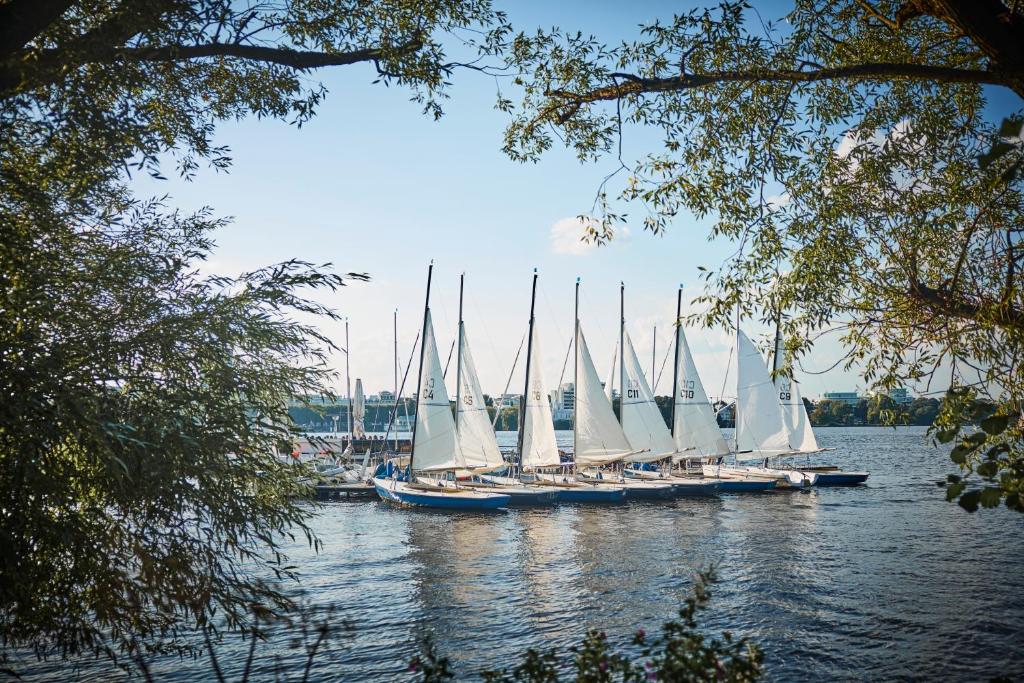 アクティビティ