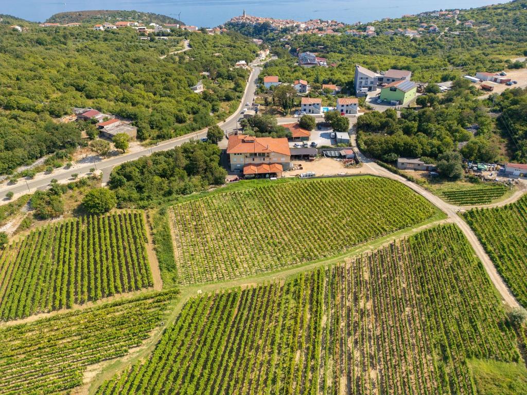 Vineyard apartment, Vrbnik