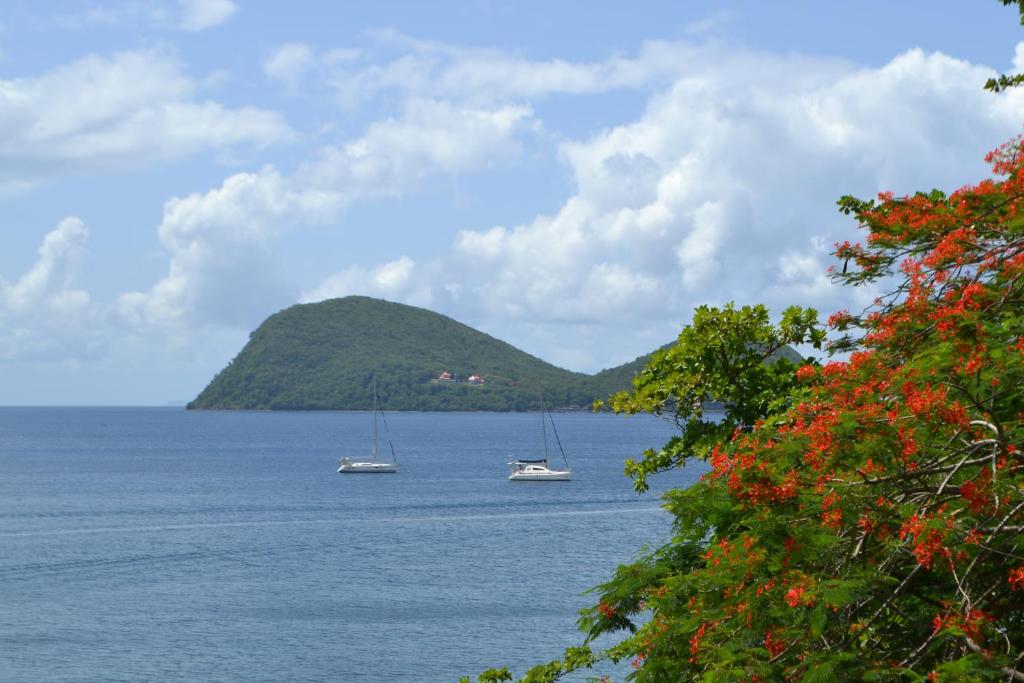 Surrounding environment