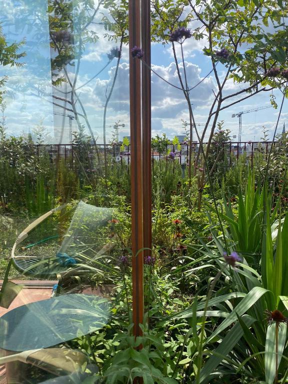 Studio Conda, Antverpy