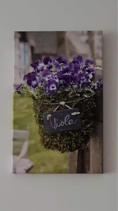 VIOLA apartment Zlatiborski konaci - 2