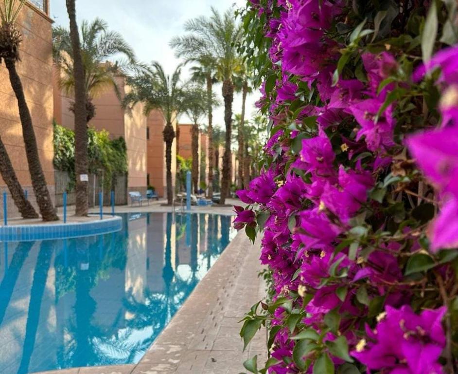 RIAD Le shams, Marakéš