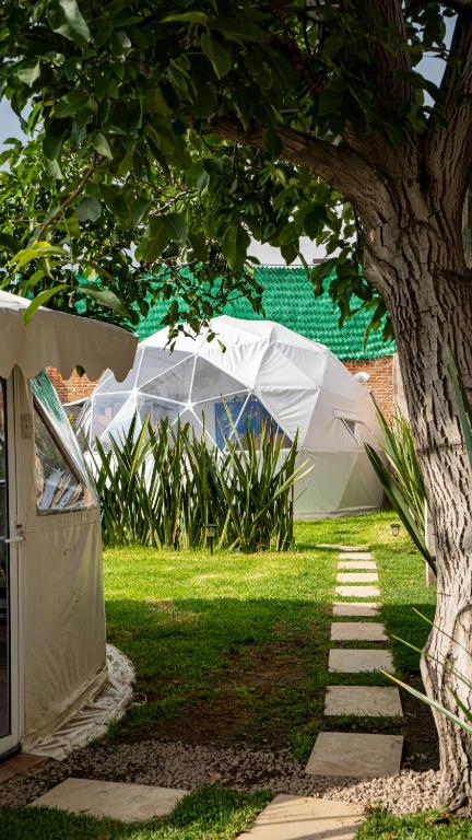 Glamping Cholula, Cholula