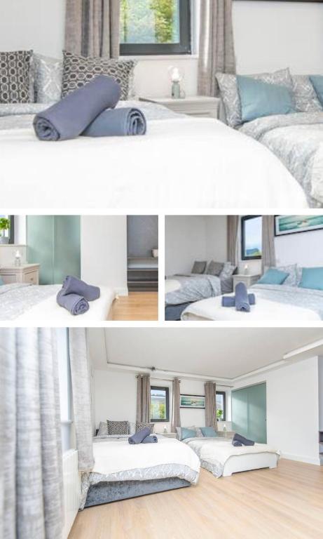 Entire apartment in Galway city, Galway