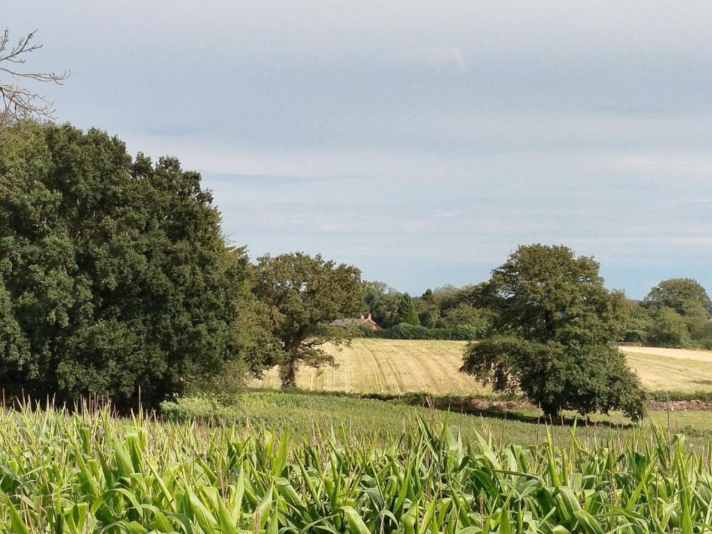 Gîte Traitsanes En Berry Centre Val de Loire, Préveranges