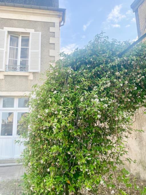 Au cœur de Bourges - 3