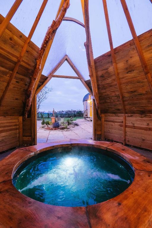 Ảnh 3