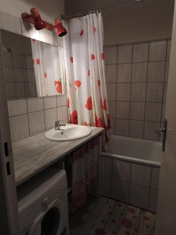 studio aux pieds des cimes - 2