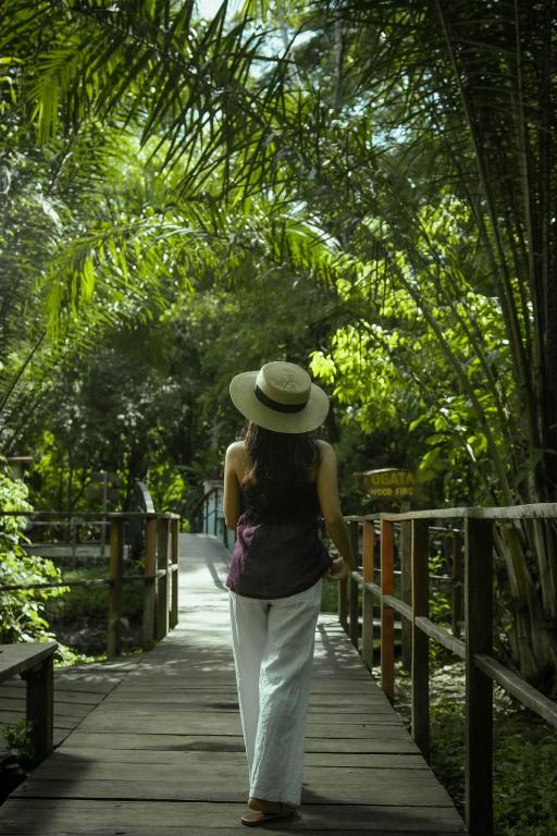 Surrounding environment