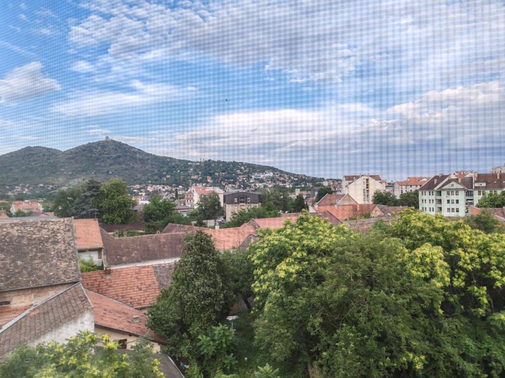 Apartman N&S, Vršac