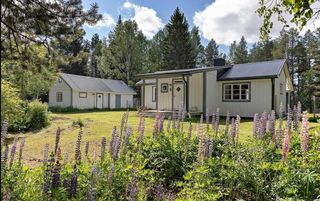 Jämtland - Tåsjö, Tåsjö