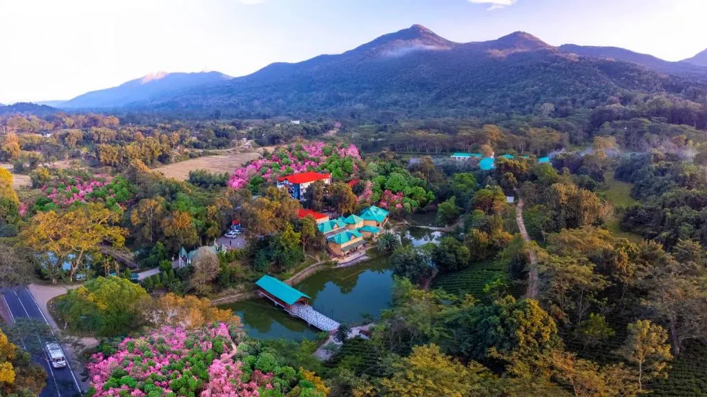 Summit Green Lake Tea Resort & Spa, hotel in Kāziranga