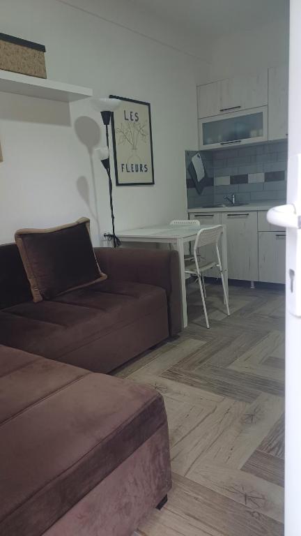 Studio Mili, Malovići