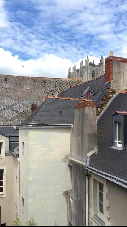 Superbe studio avec terrasse - Cathédrale - 5