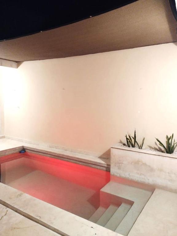 Casa Flamingo - 3