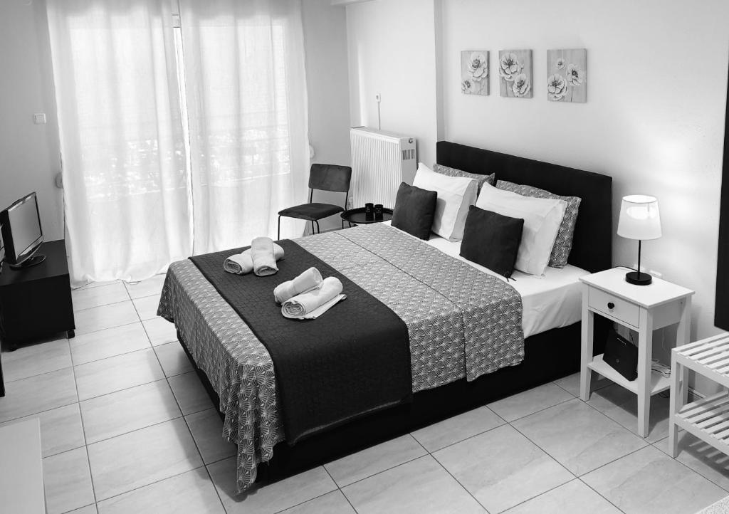 Volos Studio Stella, Volos