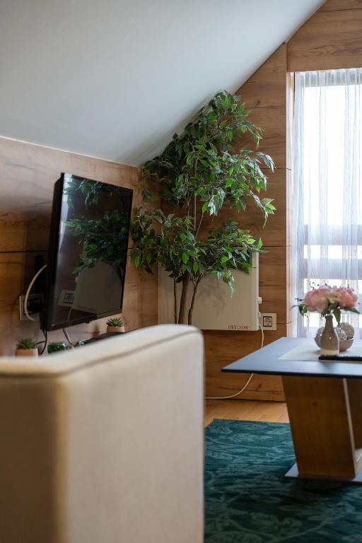 ZlatiborView Apartment 2 - 3