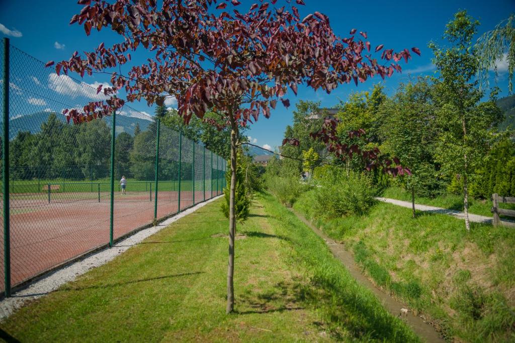 Sports and activities