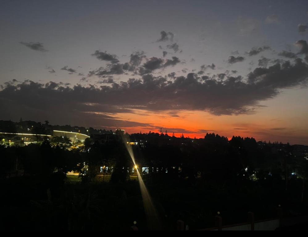 Saginias Nest, Kyambogo