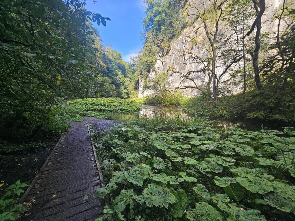 Rose Cottage, Millers Dale photo 3