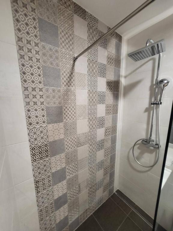 Master apartment Podgorica - 2