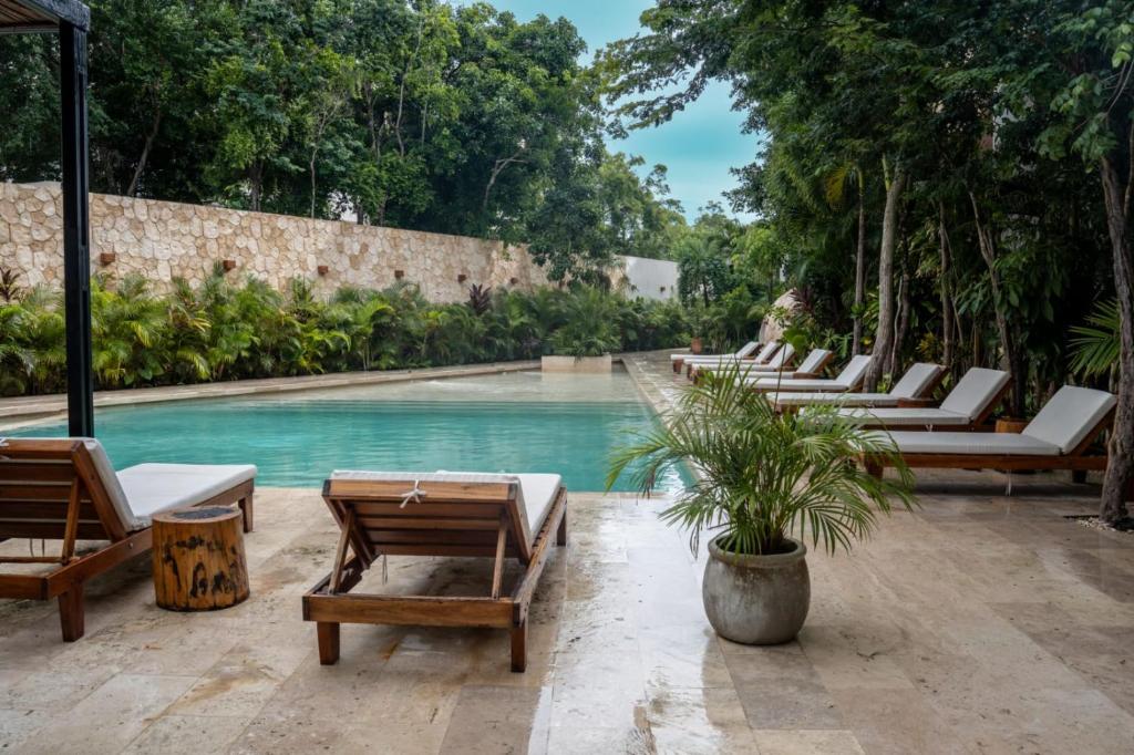 Pent House de lujo con roof top privado rodeado de naturaleza - 5