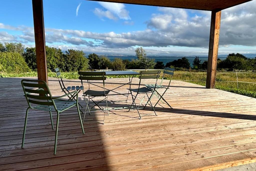 Magnifique villa d'architecte vue sur le lac Léman - 2