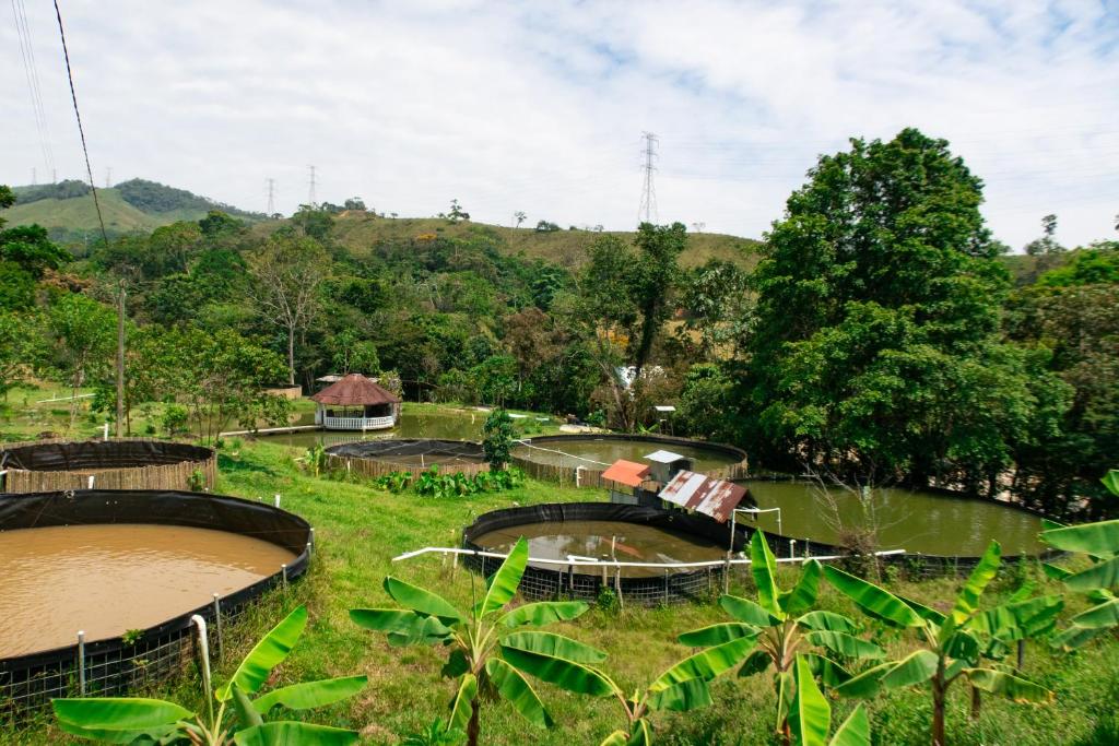 Hospedaje RioBosque San Carlos - 3