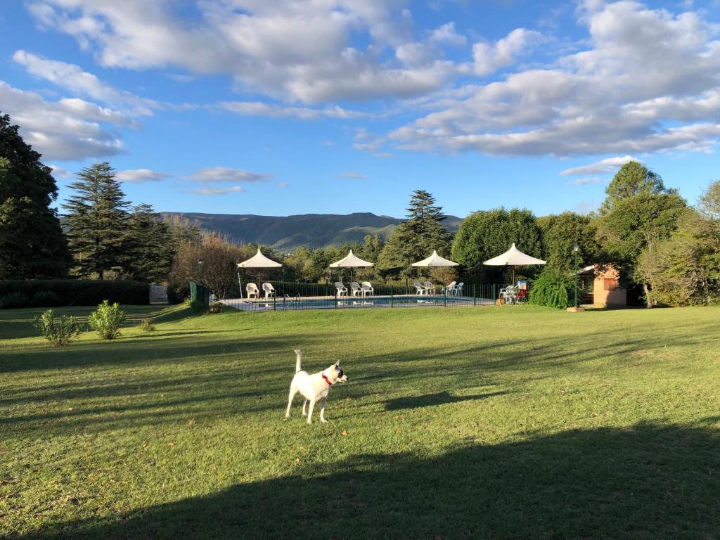 Cabañas Calicanto - 5