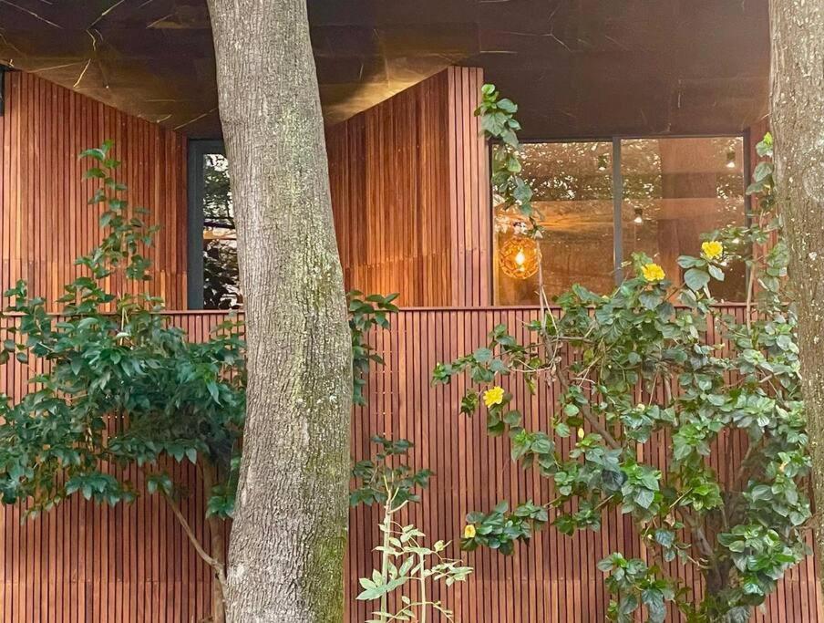 Casa Roma - 3