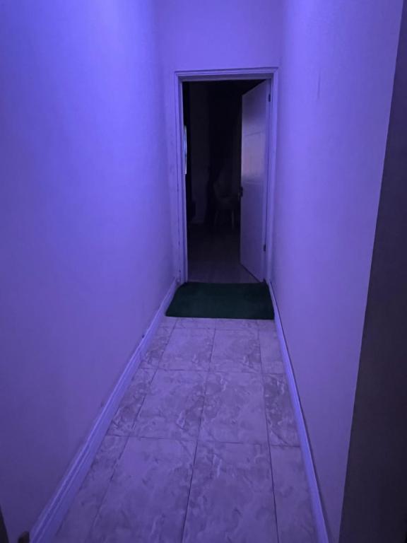 Purple hisbiscus, Abudža