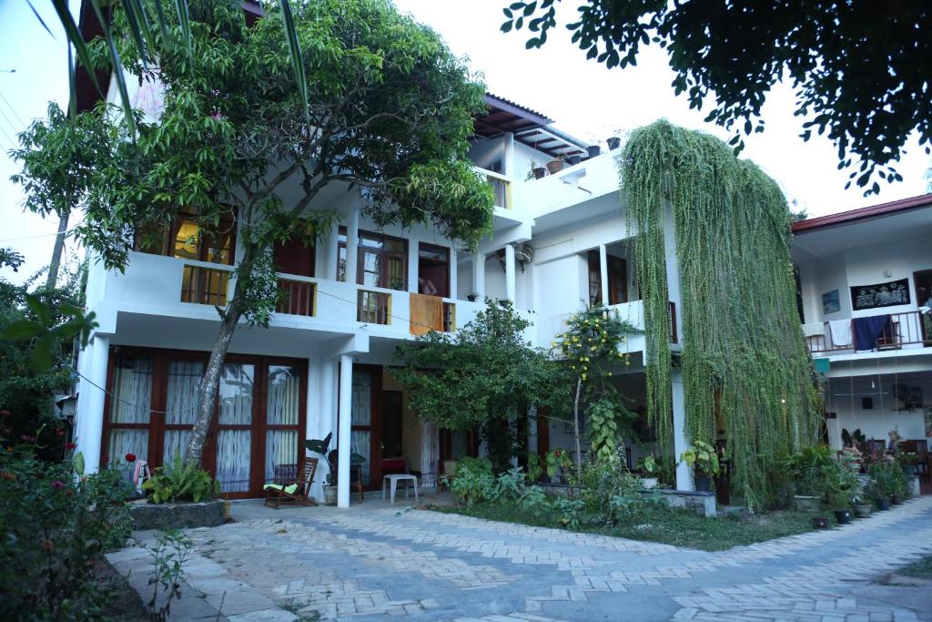 Primrose guest house шри ланка. Гестхаус шри ланка.