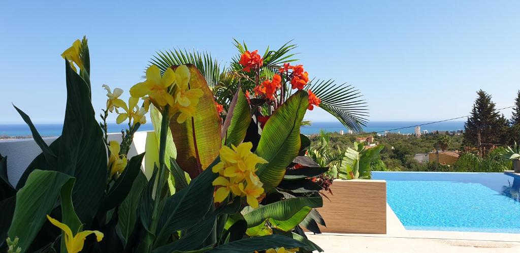 Happyplace Malaga - Villa with Panoramic Sea View Heated Infinity Saltwater Pool - 4