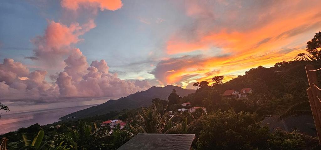 kazamango, Trois-Rivières