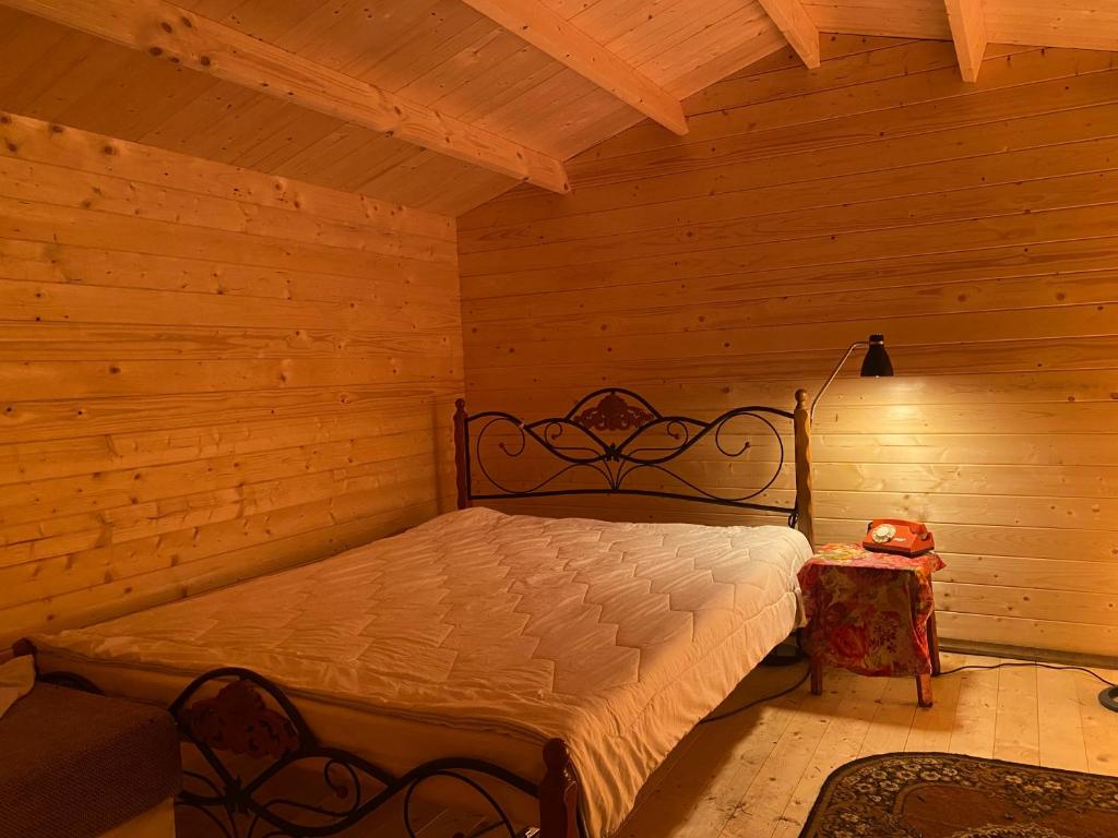 Ajas tagasi aiamaja, Soolu