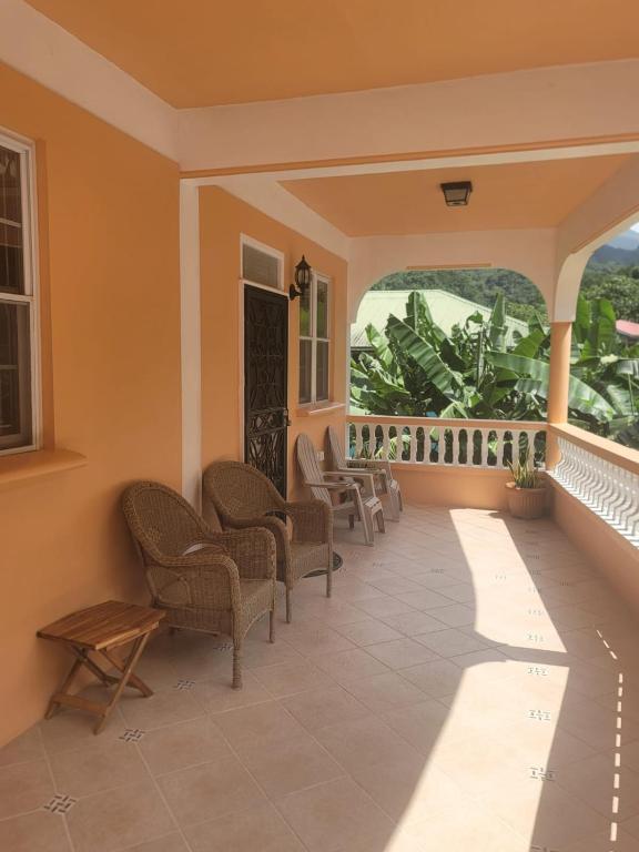 The Escape, Fond Cani