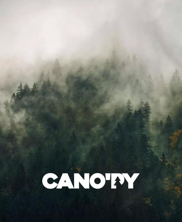 Cano'Py, charmant 2 pièces avec vue montagne en cœur de ville - 2