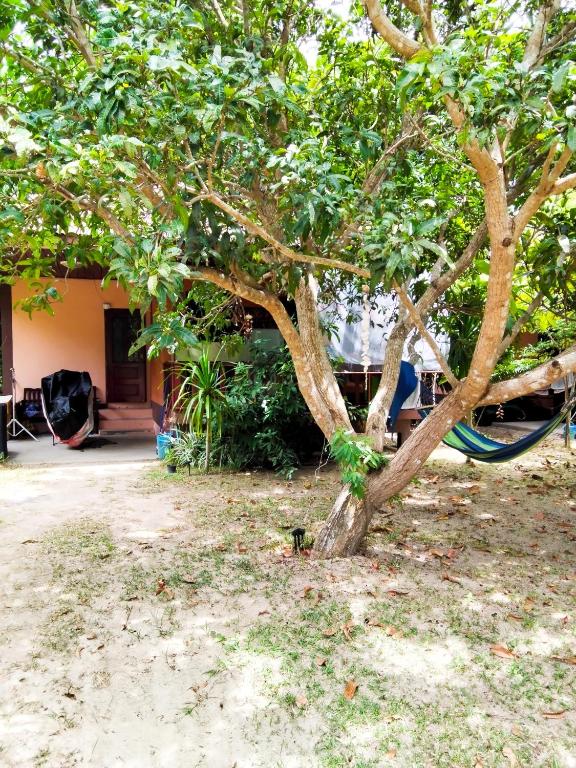 Purple Paradise, Ban Na We